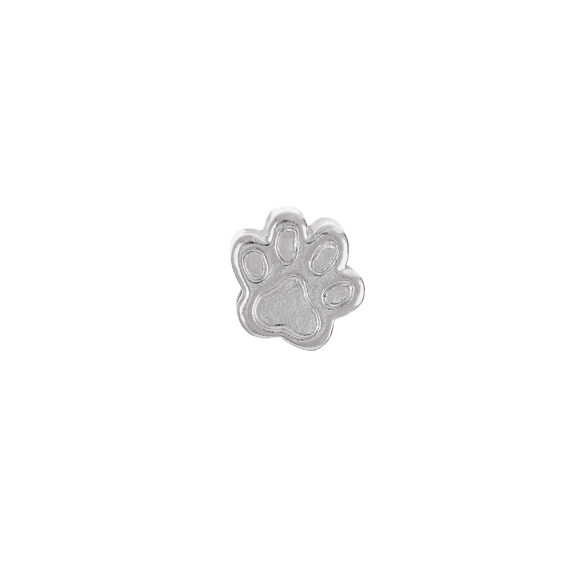 Dog Paw Charm