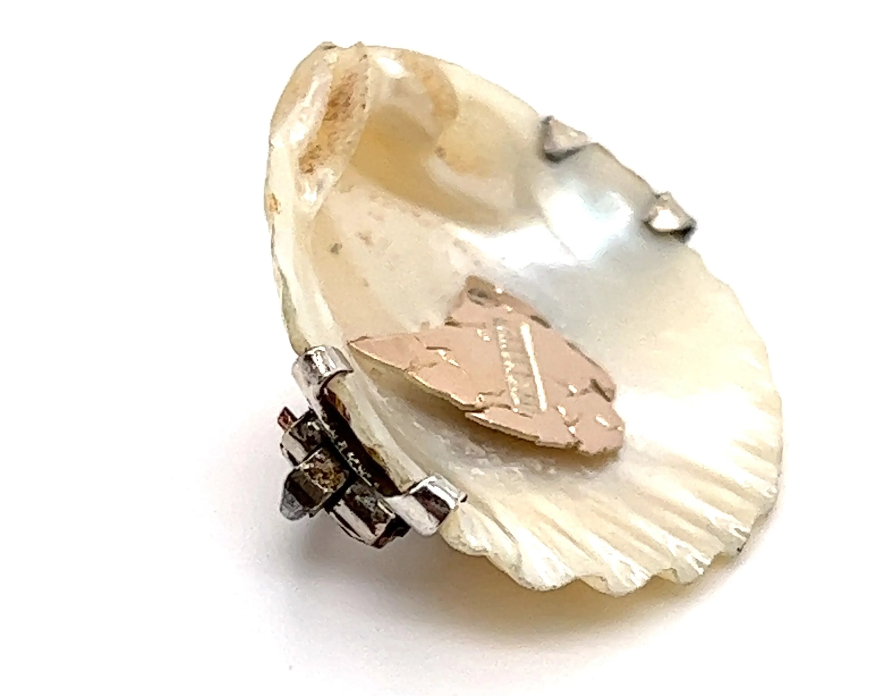 Shell Brooch with 9ct yellow Gold Tasmania & Sterling Silver Setting