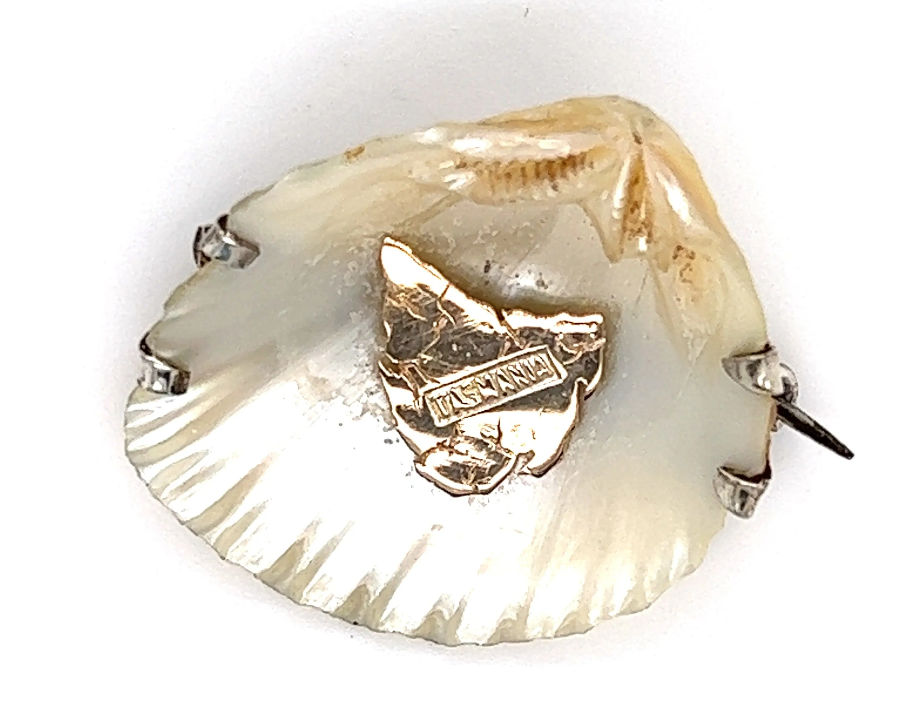 Shell Brooch with 9ct yellow Gold Tasmania & Sterling Silver Setting