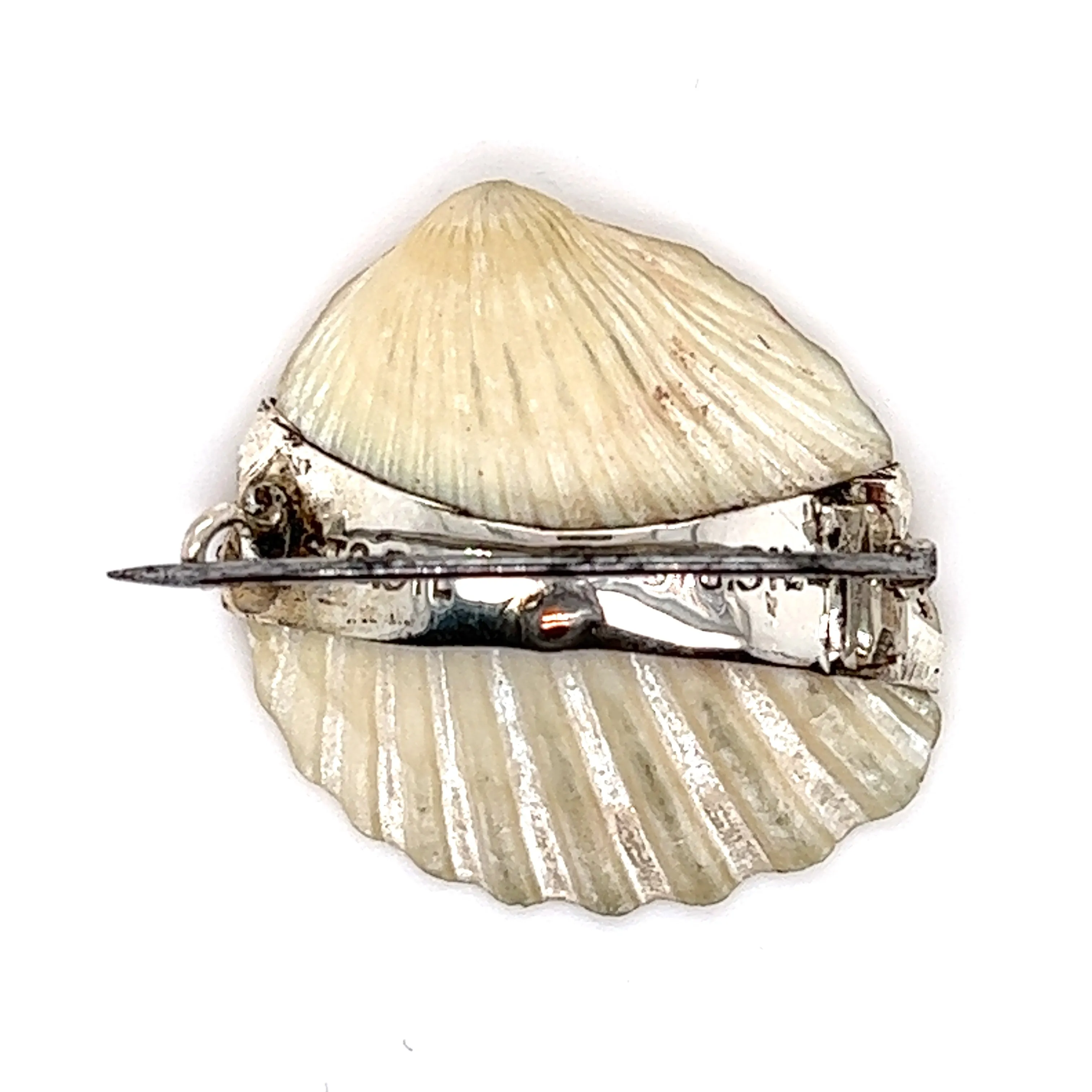 Shell Brooch with 9ct yellow Gold Tasmania & Sterling Silver Setting