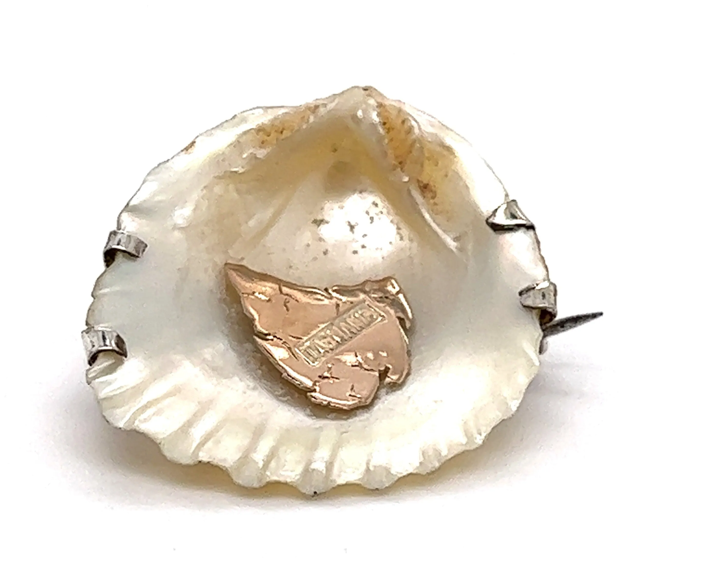 Shell Brooch with 9ct yellow Gold Tasmania & Sterling Silver Setting