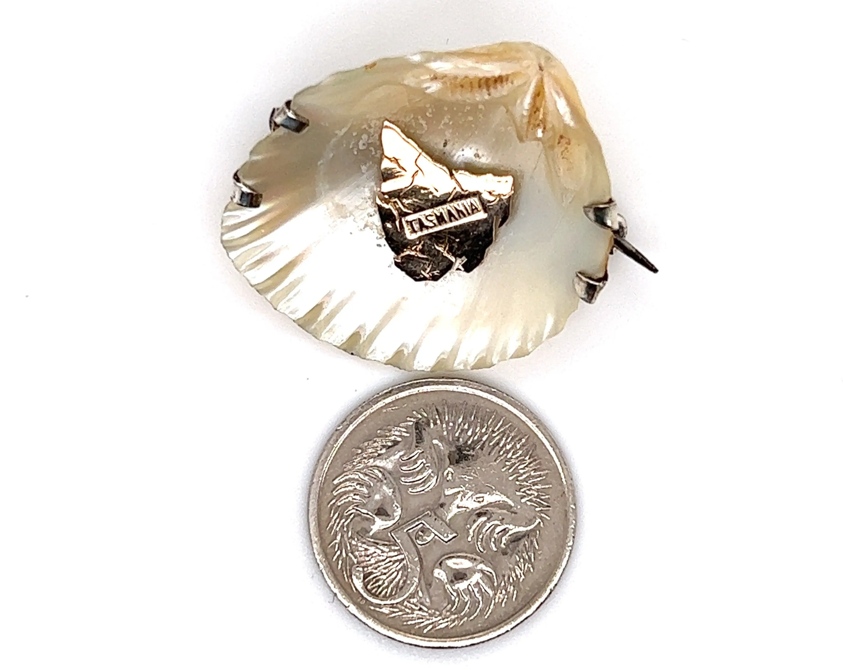 Shell Brooch with 9ct yellow Gold Tasmania & Sterling Silver Setting