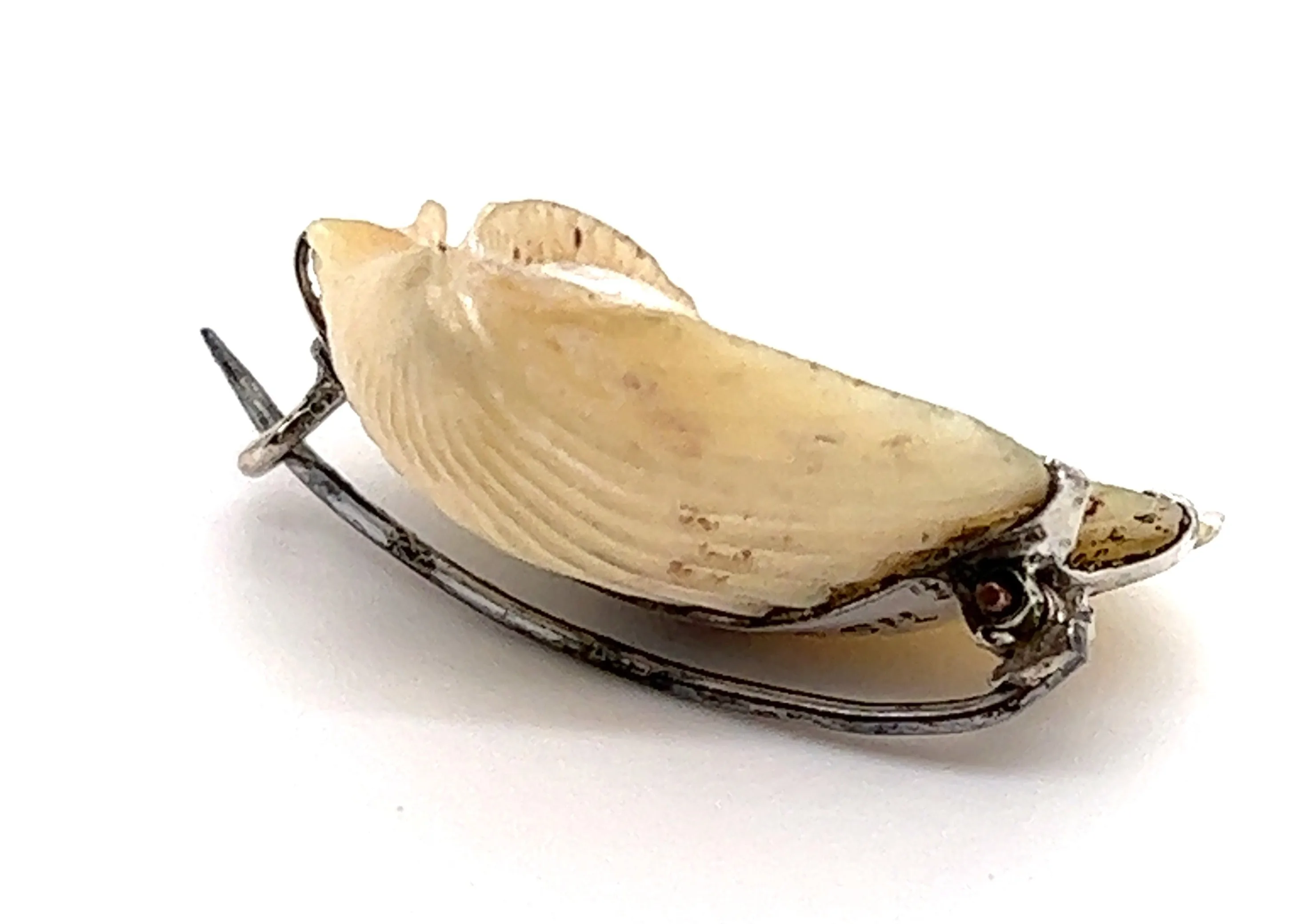 Shell Brooch with 9ct yellow Gold Tasmania & Sterling Silver Setting