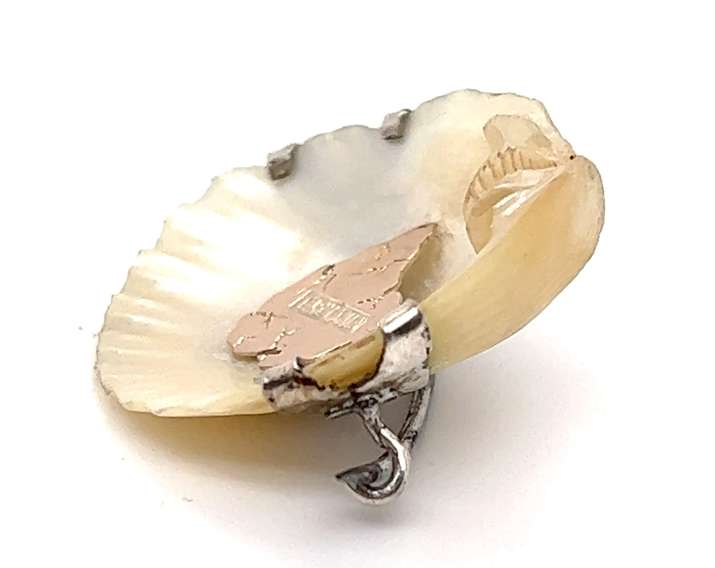 Shell Brooch with 9ct yellow Gold Tasmania & Sterling Silver Setting